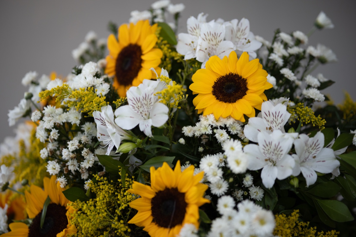 Arranjos florais